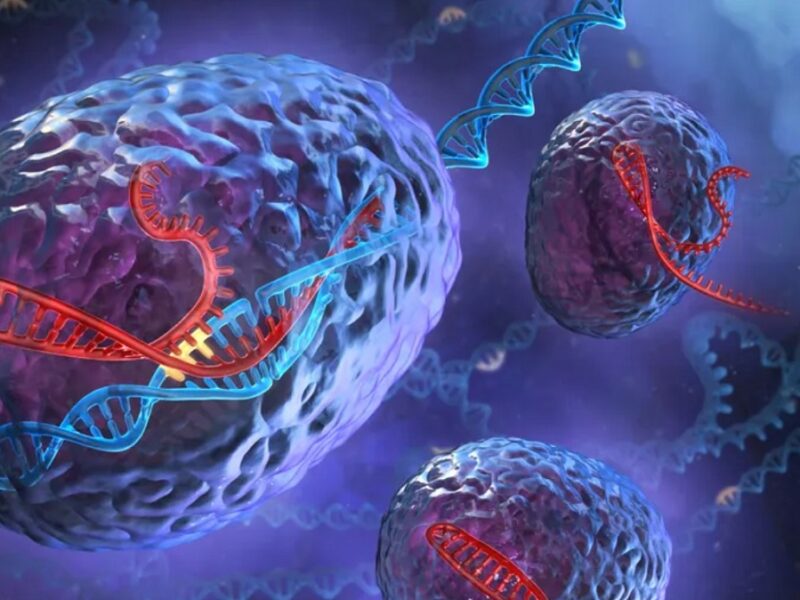 Humans have genes from other species