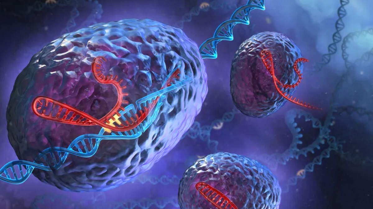 Humans have genes from other species