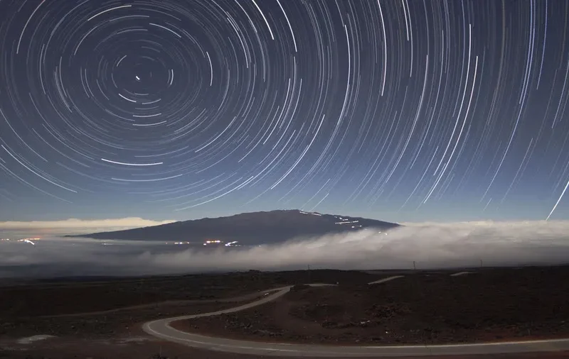 Animals use Earth’s magnetic field for orientation