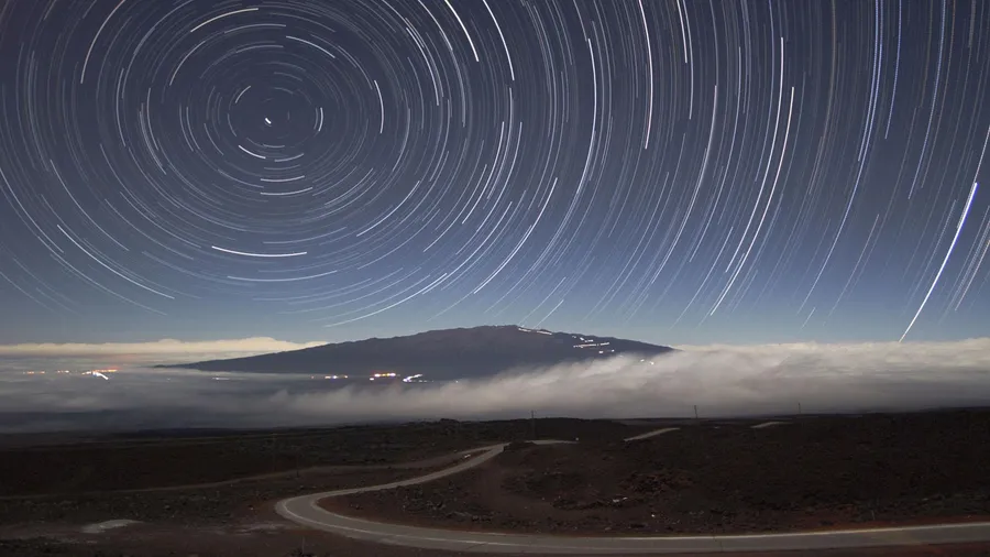 Animals use Earth’s magnetic field for orientation
